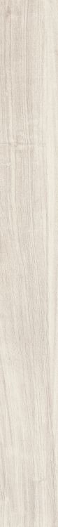Soft Sugar 8 x 71